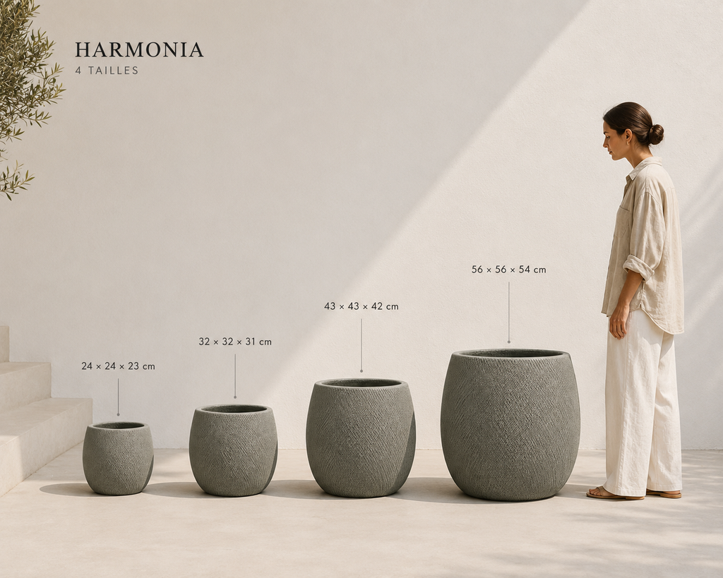 HARMONIA S