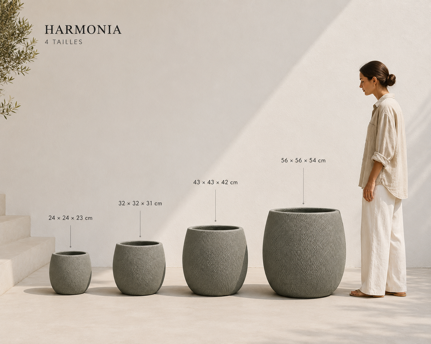 HARMONIA M